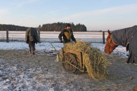 Pakkanen pitää Auran Kirkonkulman Ratsutallin yrittäjän Susanna Koiviston normaaliakin kiireisempänä. Hevonen  tarvitsee pakkasella reilusti heinää pysyäkseen lämpimänä. 