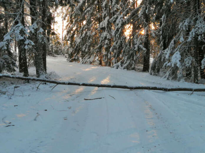 Puu on kaatunut keskelle Myllykyläntien y-risteystä. Kuva: Simo Päivärinta.