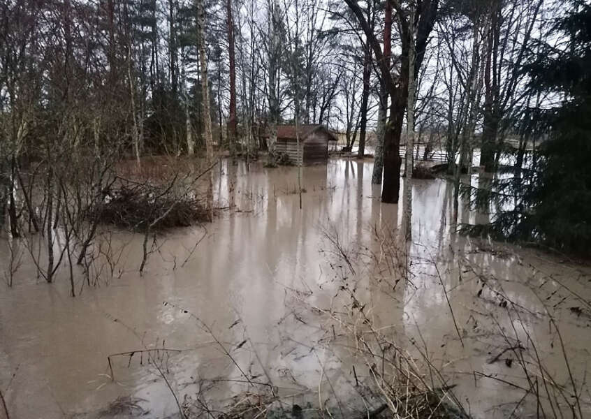 Paimionjoki nousee uomastaan. Kuva: Simo Päivärinta.