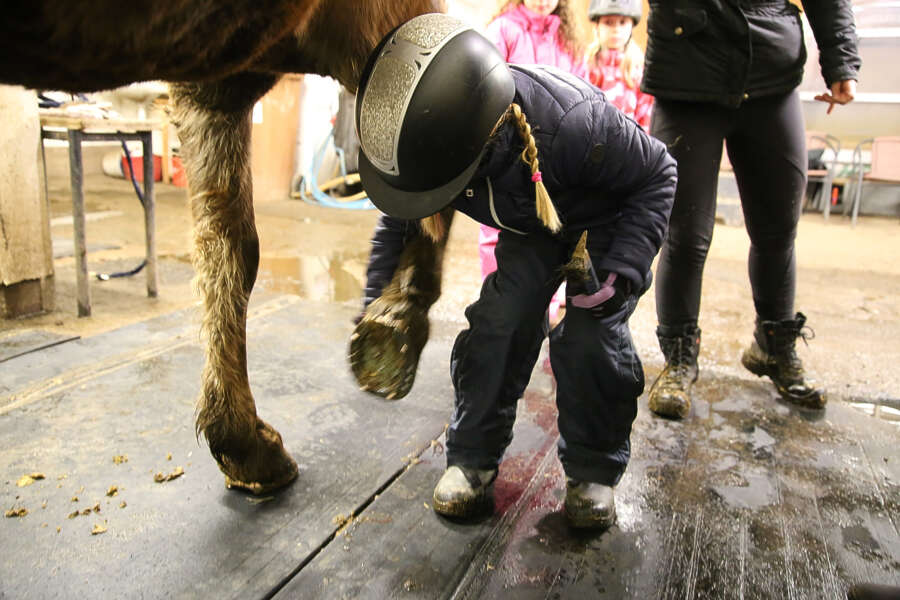 Kavionpuhdistusvuorossa Anette Rauhala, 8.