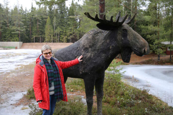 Hirvi on tosiaan näin iso, Kosken eränkävijöiden majalla metsästyskursseja vetävä Tuula Vainio-Syrjälä esittelee. Taustalla yksi vuonna 1941 perustetun seuran ampumaradoista.